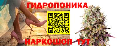apvp Краснодар