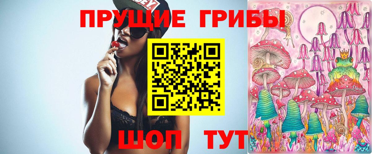 Псилоцибиновые грибы MAGIC MUSHROOMS Камышин